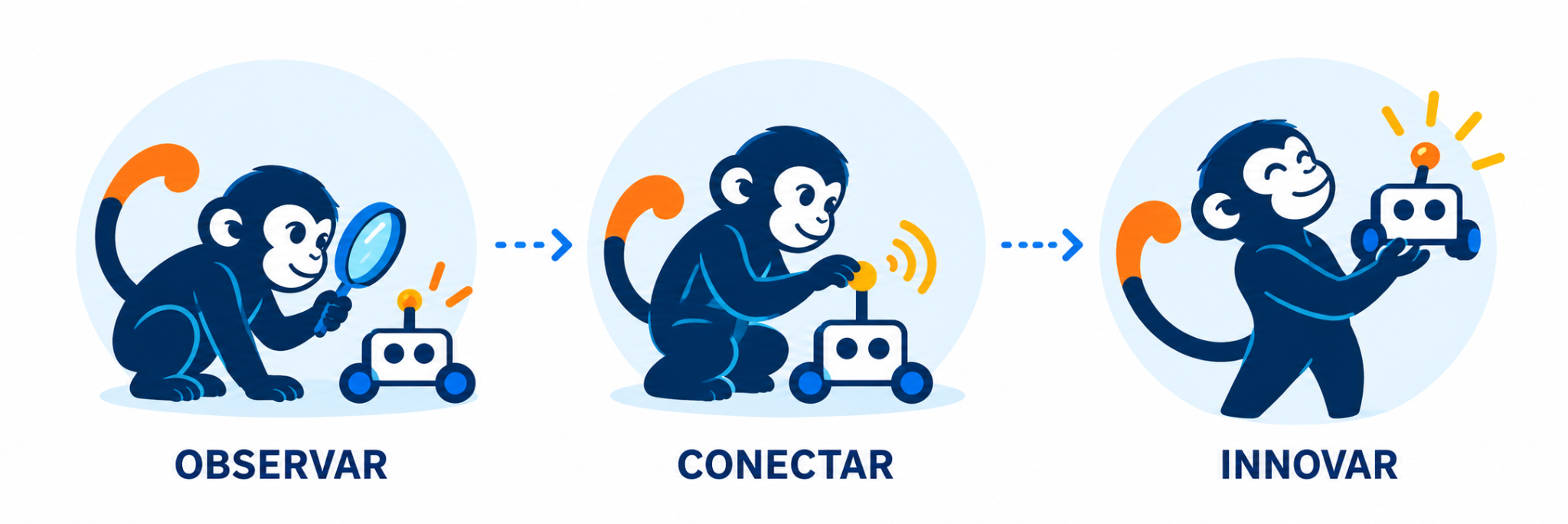Observar, conectar e innovar: etapas del trabajo en BlueMonkey Robotics Lab